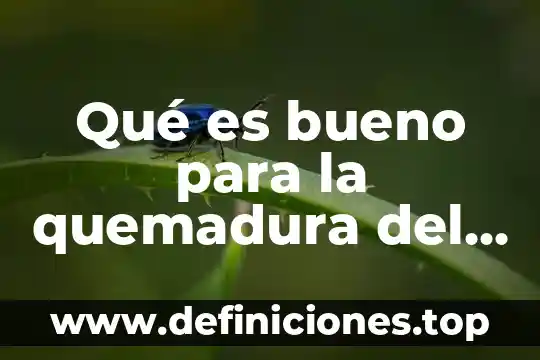 Qué es bueno para la quemadura del chechen