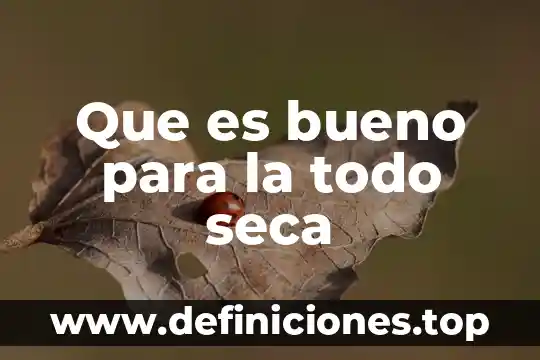 Que es bueno para la todo seca