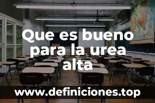 Que es epidemilogia internacional 5 Que es bueno para la urea alta