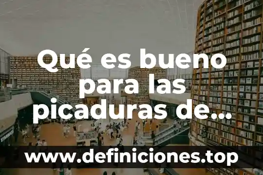 Por que es importante conocer los tipos de proveedores 8 Qué es bueno para las picaduras de mosquitos