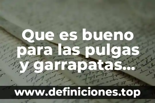 Que es bueno para las pulgas y garrapatas en cachorros