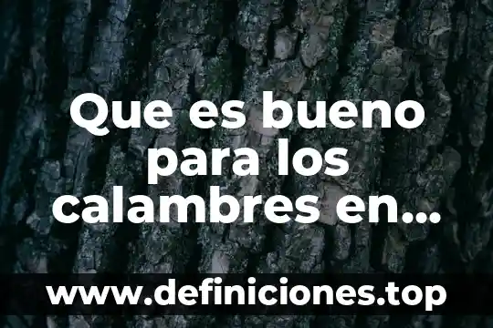 Libro mayores auxiliares que es en contabilidad 8 Que es bueno para los calambres en personas mayores
