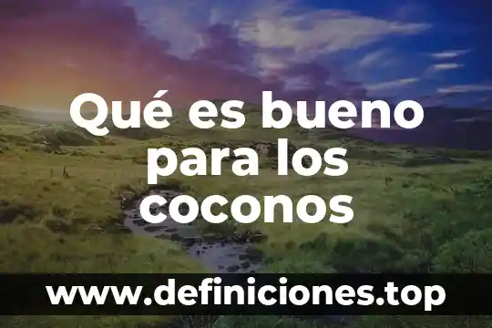 Qué es bueno para el dolor detrás de la oreja 5 Qué es bueno para los coconos