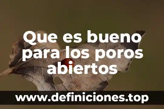 Que es bueno para los poros abiertos
