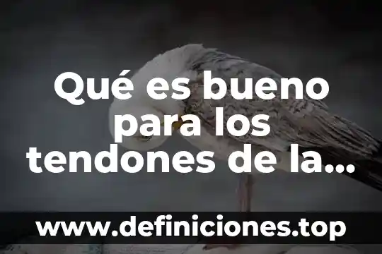 Qué es bueno para los coconos 8 Qué es bueno para los tendones de la mano