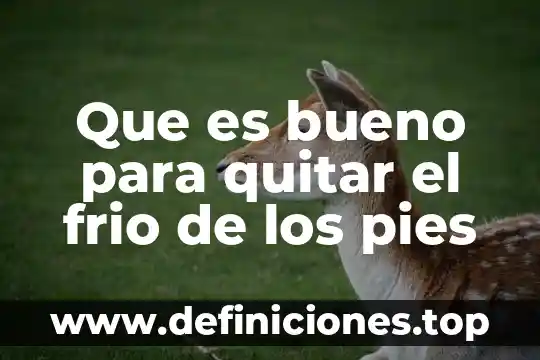 Que es bueno para la hinchazón de los pies 8 Que es bueno para quitar el frio de los pies