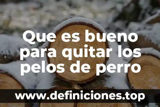 Que es un tipo en las razas de perro 8 Que es bueno para quitar los pelos de perro