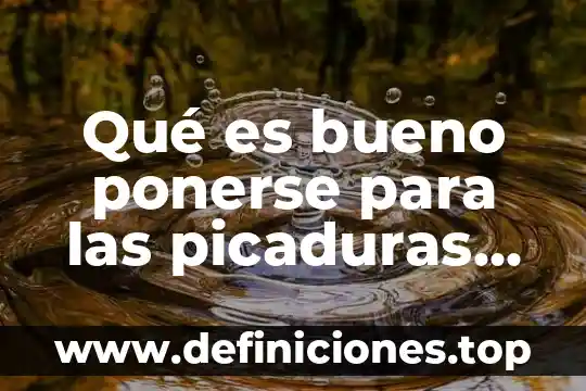 Plidan compuesto para que es bueno 5 Qué es bueno ponerse para las picaduras de mosquitos
