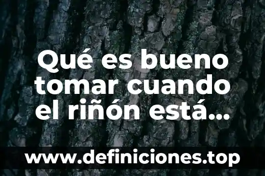 Que es mejor tomar refresco o cerveza 5 Qué es bueno tomar cuando el riñón está inflamado