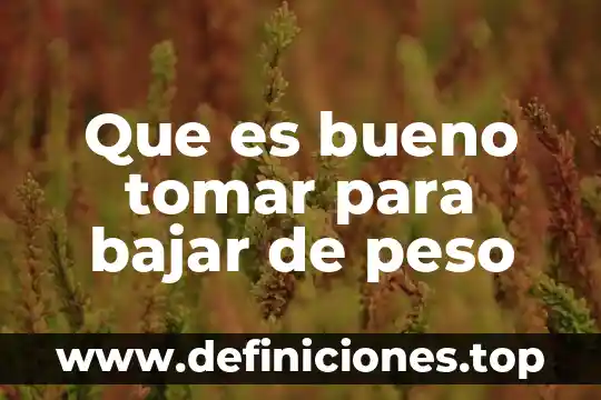 Que es bajar una informacion de internet significado 3 Que es bueno tomar para bajar de peso