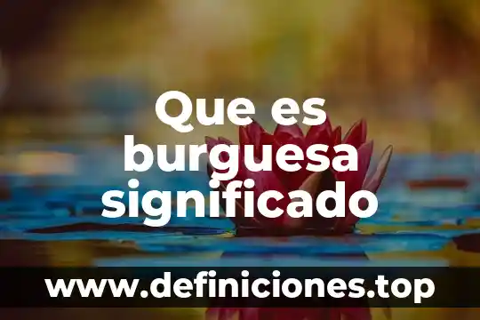 Que es el cambio social pugna 4 Que es burguesa significado