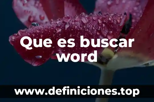 Qué es Word y sus interfaz 8 Que es buscar word