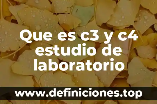 Que es una hornilla electrica de laboratorio 8 Que es c3 y c4 estudio de laboratorio