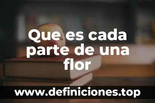 Para que es bueno el te de flor de tila 3 Que es cada parte de una flor
