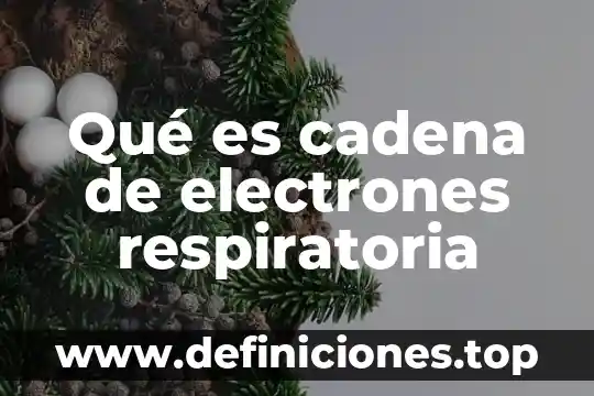 Que es un tratado internacional en materia fiscal 3 Qué es cadena de electrones respiratoria