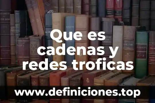 Que es una unidad de lavado de cadenas 5 Que es cadenas y redes troficas