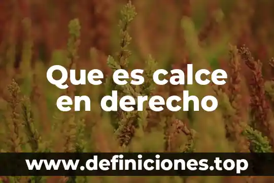 Que es mercado libre en administracion 7 Que es calce en derecho