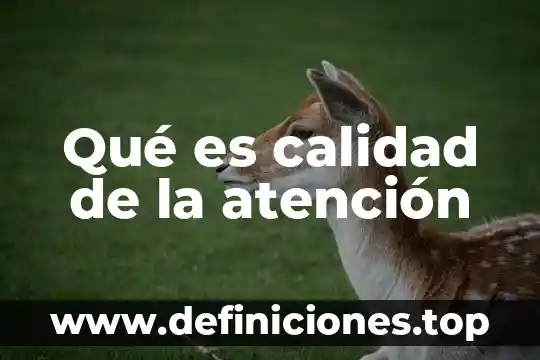 Atención médica telefónica qué es 7 Qué es calidad de la atención