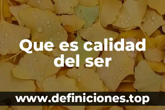 Que es calidad del ser