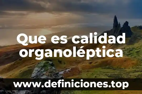 Para la OMS que es calidad 3 Que es calidad organoléptica
