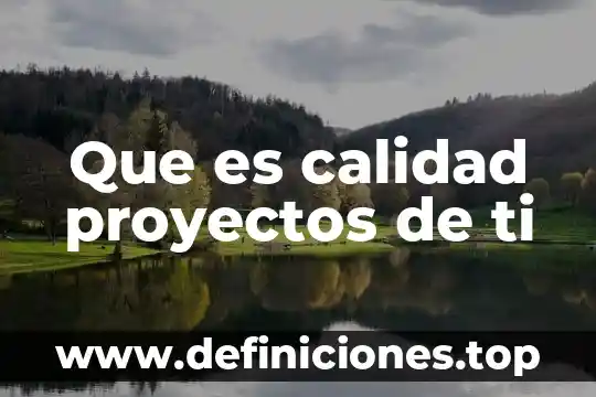 Que es la materia de proyectos institucionales 5 Que es calidad proyectos de ti