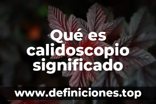 Qué es una tapia significado 3 Qué es calidoscopio significado