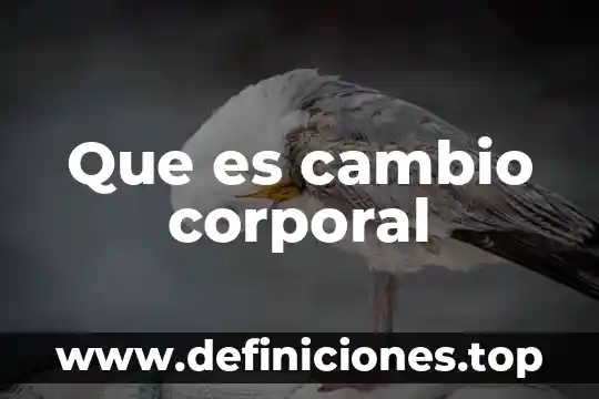 Que es una razo de cambio 6 Que es cambio corporal