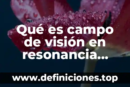 Qué es campo de visión en resonancia magnética