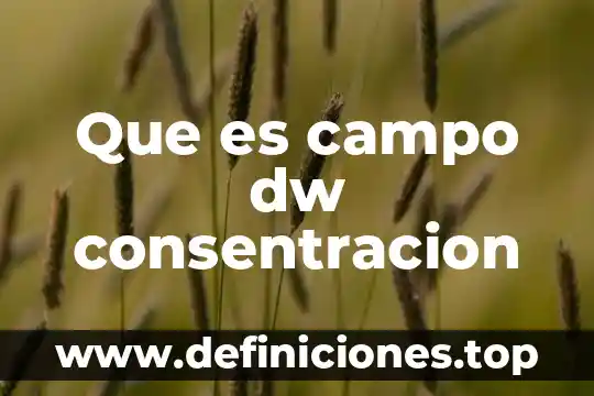 Qué es un pueblo desarrollado 6 Que es campo dw consentracion