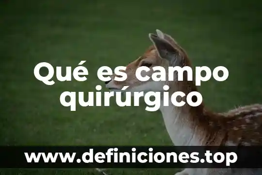 Qué es campo quirúrgico