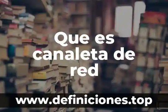 Qué es un protocolo de red físico 4 Que es canaleta de red