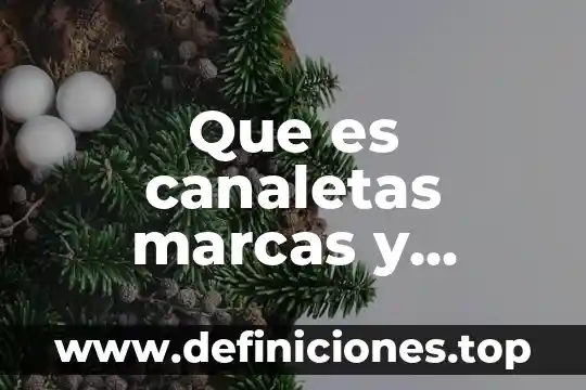 Qué es exclusividad en una empresa marcas 5 Que es canaletas marcas y precios
