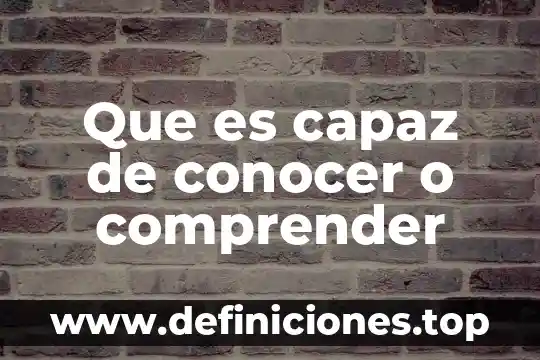 Que es lo que da a conocer el balle 3 Que es capaz de conocer o comprender