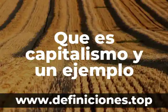 Que es susedaneo ejemplo 7 Que es capitalismo y un ejemplo