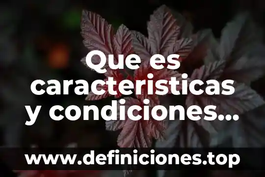 Que es desarrollo del tema ejemplo 5 Que es caracteristicas y condiciones para la equidad de genero