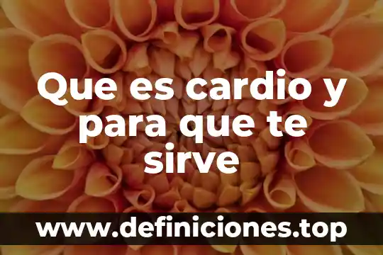 Que es la zarzaparrilla y para que sirve 3 Que es cardio y para que te sirve