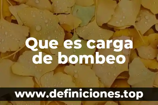 Qué es una metodología en educación 8 Que es carga de bombeo