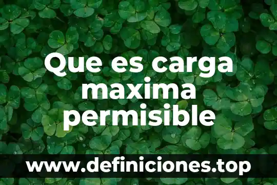 Que es una maxima en derecho 8 Que es carga maxima permisible