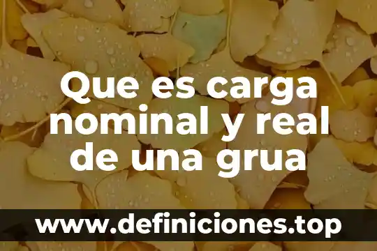 Que es carga nominal y real de una grua
