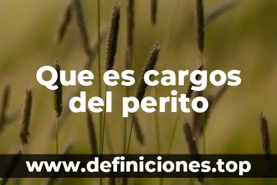 Cargos dirigidos que es 3 Que es cargos del perito