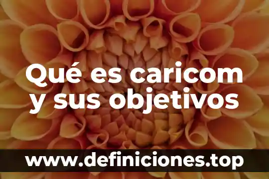 Qué es caricom y sus objetivos