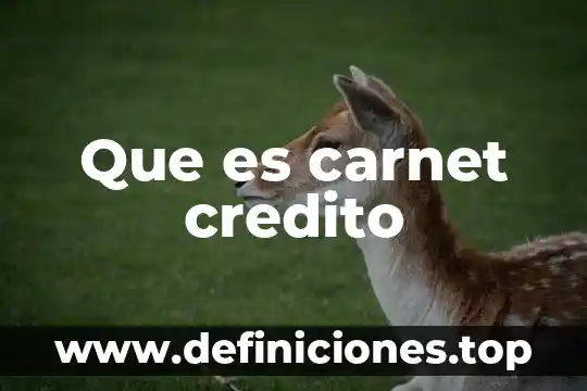 Crédito bancario que es schp 6 Que es carnet credito