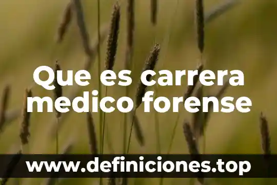 Que es auditoria forense en contabilidad 7 Que es carrera medico forense