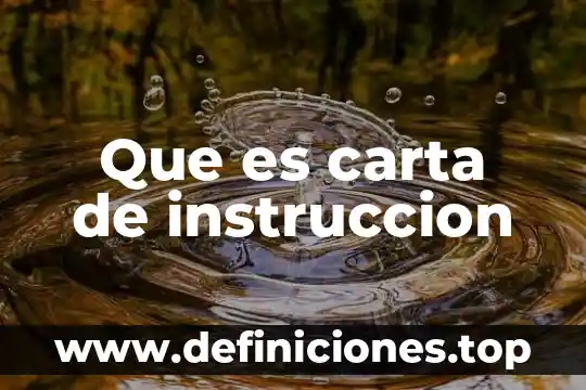 Que es una carta de intención no vinculativa 7 Que es carta de instruccion