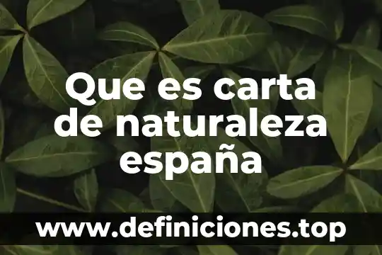 Que es una carta de intención no vinculativa 8 Que es carta de naturaleza españa
