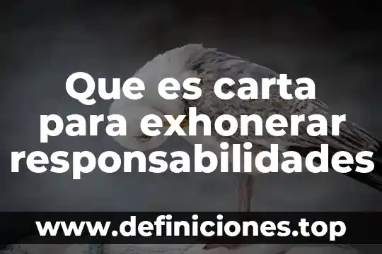 Que es una carta de intención no vinculativa 4 Que es carta para exhonerar responsabilidades