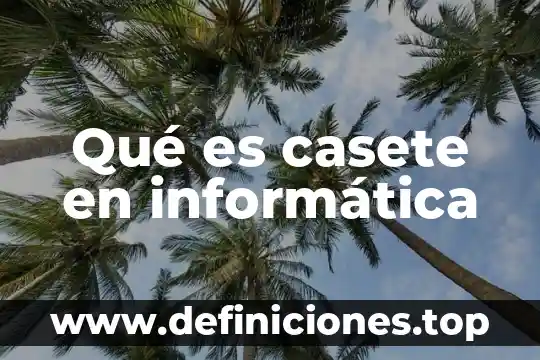 Qué es la palabra definir en la informática 3 Qué es casete en informática