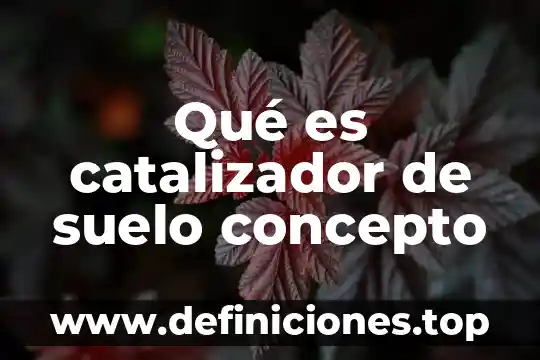Qué es catalizador de suelo concepto