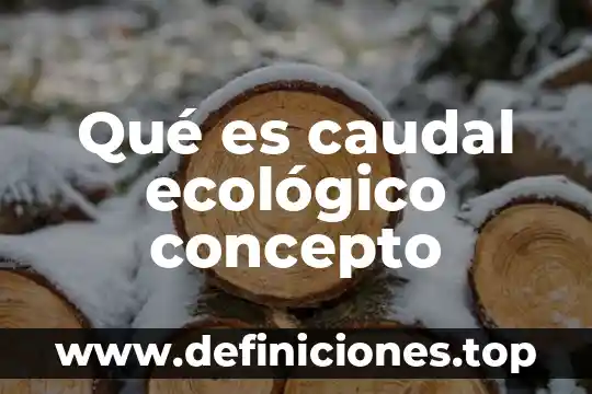 Qué es caudal ecológico concepto