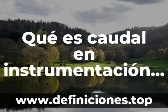Que es instrumentacion jurídica mexico 4 Qué es caudal en instrumentación industrial